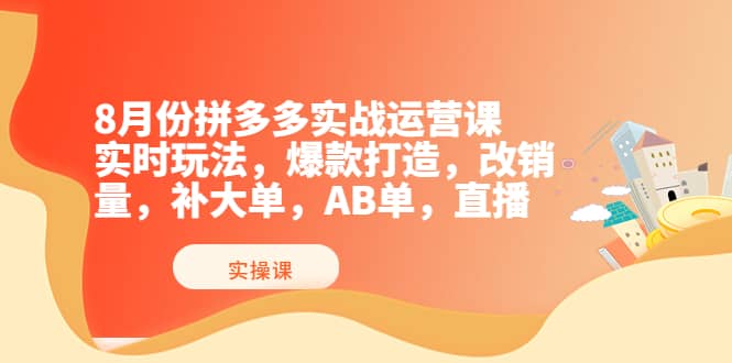 8月份拼多多实战运营课，实时玩法，爆款打造，改销量，补大单，AB单，直播-学知网