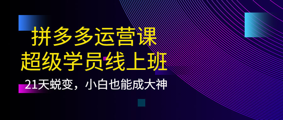 拼多多运营课：超级学员线上班，21天蜕变，小白也能成大神-学知网