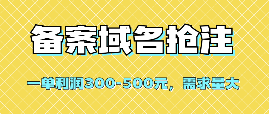 【全网首发】备案域名抢注，一单利润300-500元，需求量大-学知网