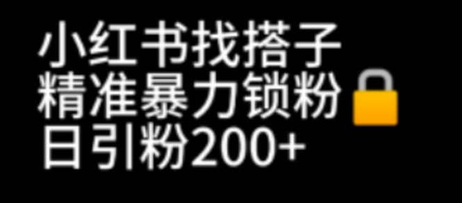 小红书找搭子暴力精准锁粉+引流日引200+精准粉-学知网