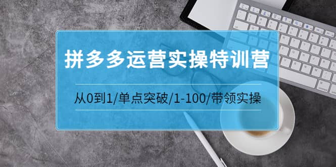 拼多多运营实操特训营：从0到1/单点突破/1-100/带领实操 价值2980元-学知网