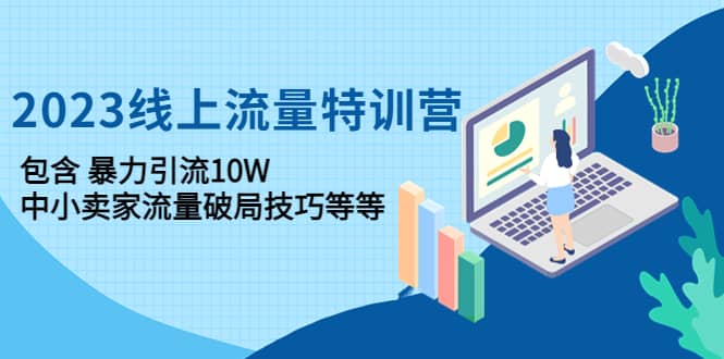 2023线上流量特训营：中小卖家流量破局技巧等等-学知网