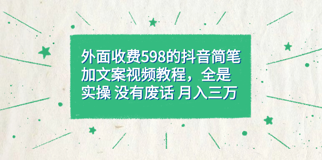 外面收费598抖音简笔加文案教程，全是实操 没有废话 月入三万（教程+资料）-学知网