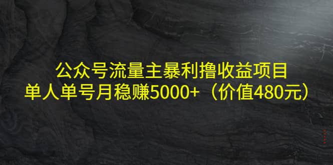 公众号流量主暴利撸收益项目，单人单号月稳赚5000+（价值480元）-学知网