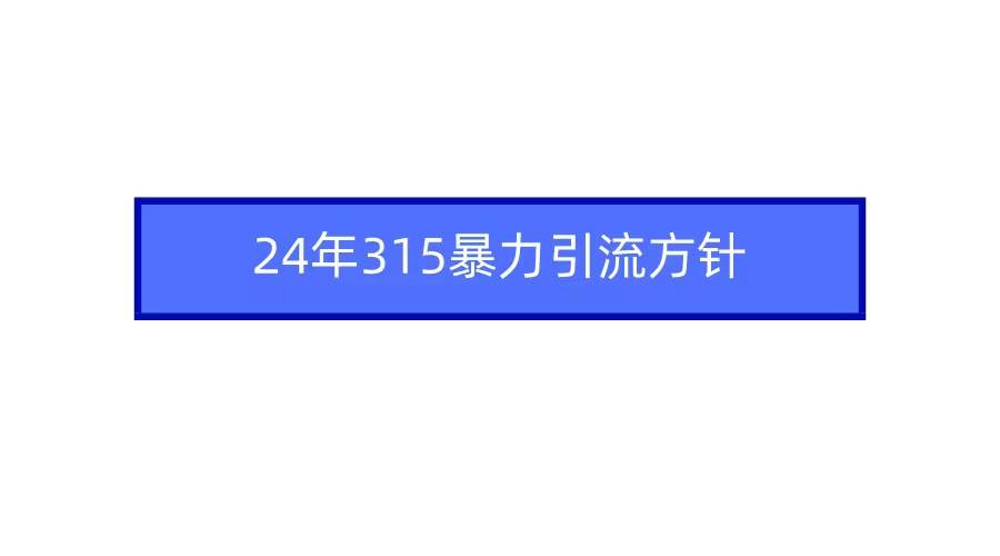 2024年315暴力引流方针-学知网