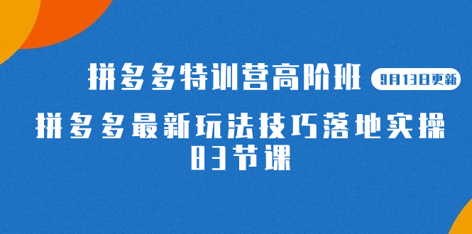 2023拼多多·特训营高阶班【9月13日更新】拼多多最新玩法技巧落地实操-83节-学知网