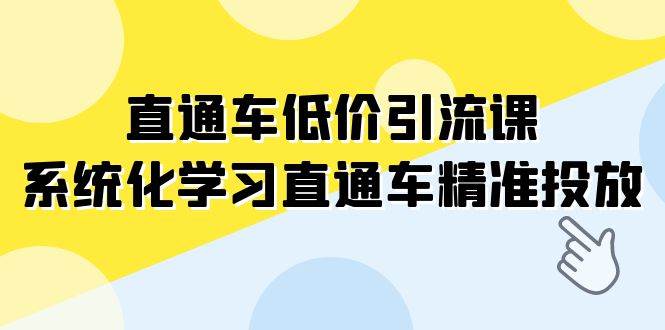 直通车-低价引流课，系统化学习直通车精准投放（14节课）-学知网