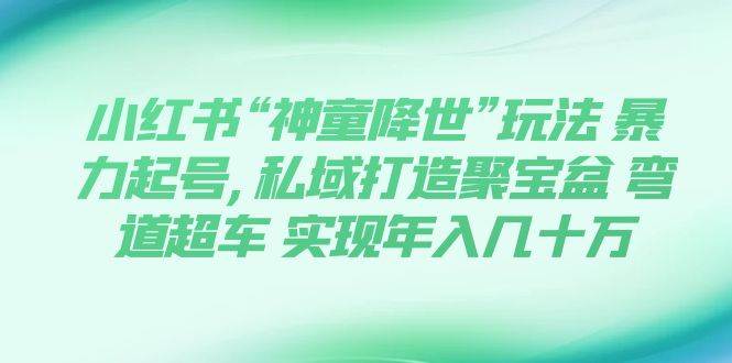 小红书“神童降世”玩法 暴力起号,私域打造聚宝盆 弯道超车 实现年入几十万-学知网