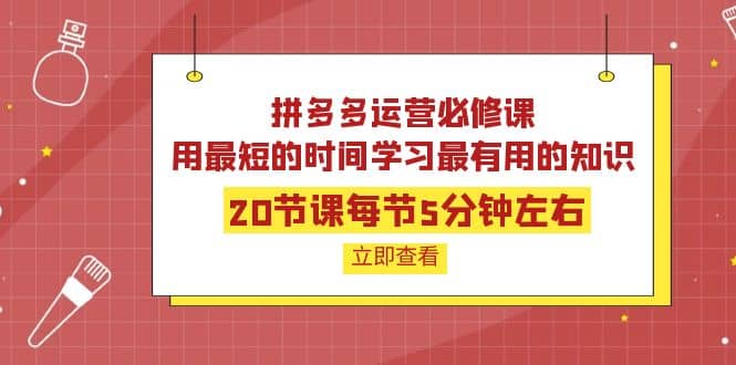 拼多多运营必修课：20节课每节5分钟左右，用最短的时间学习最有用的知识-学知网