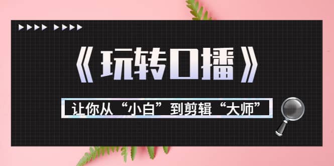 月营业额700万+大佬教您《玩转口播》让你从“小白”到剪辑“大师”-学知网