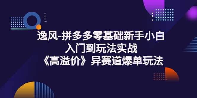 拼多多零基础新手小白入门到玩法实战《高溢价》异赛道爆单玩法实操课-学知网