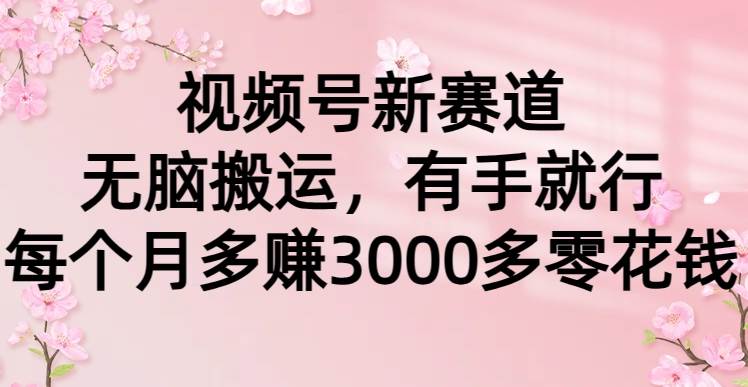 视频号新赛道，无脑搬运，有手就行，每个月多赚3000多零花钱-学知网