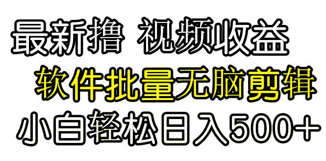 发视频撸收益，软件无脑批量剪辑，第一天发第二天就有钱-学知网