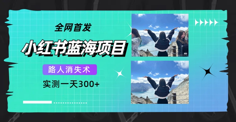 全网首发，小红书蓝海项目，路人消失术，实测一天300+（教程+工具）-学知网