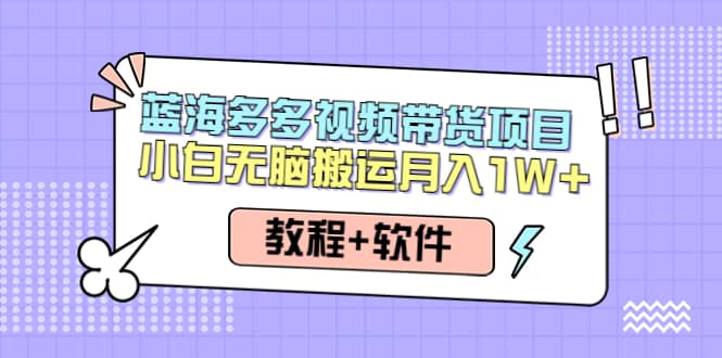 人人都能操作的蓝海多多视频带货项目 小白无脑搬运（教程+软件）-学知网