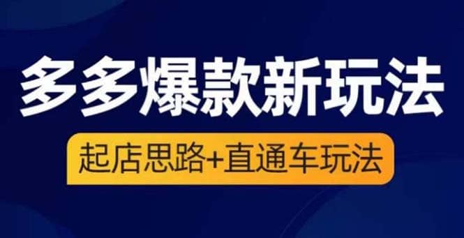 2023拼多多爆款·新玩法：起店思路+直通车玩法（3节精华课）-学知网