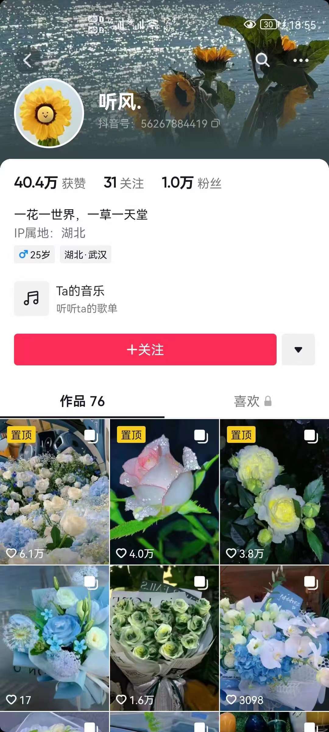 图片[2]-抖音壁纸变现项目：实战日入380+发布壁纸素材获取收益！-学知网