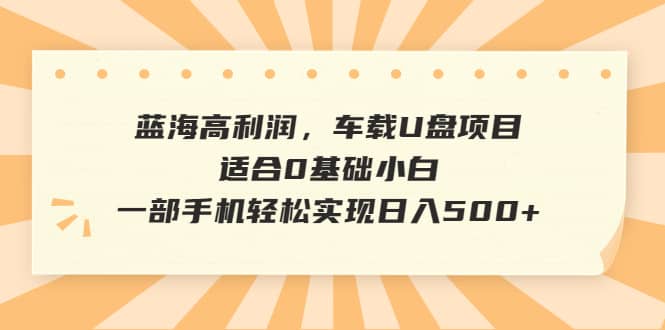 蓝海高利润，车载U盘项目，适合0基础小白，一部手机轻松实现日入500+-学知网