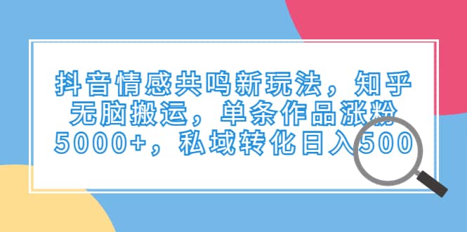 抖音情感共鸣新玩法，知乎无脑搬运，单条作品涨粉5000+，私域转化日入500-学知网