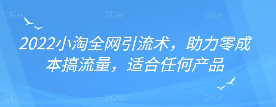 2022年小淘全网引流术，助力零成本搞流量，适合任何产品-学知网