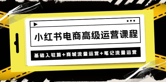 小红书电商高级运营课程：基础入驻篇+商城流量运营+笔记流量运营-学知网