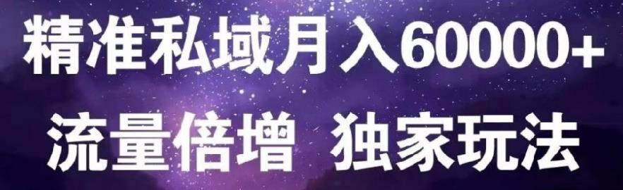 原力网赚精准私域月入60000+,流量倍增独家玩法-学知网