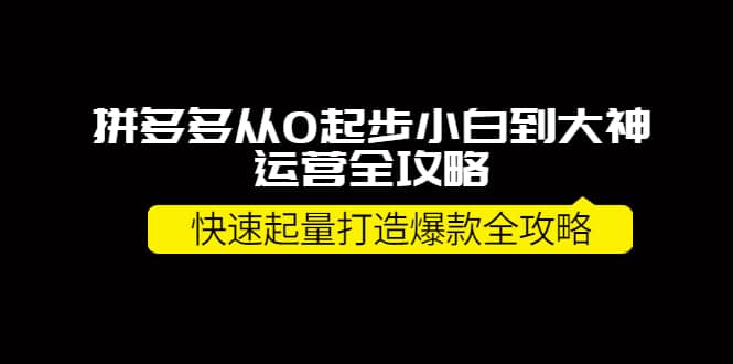 拼多多从0起步小白到大神运营全攻略-学知网