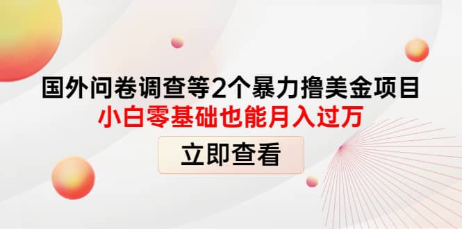 国外问卷调查等2个暴力撸美元项目，小白零基础也能月入过万-学知网