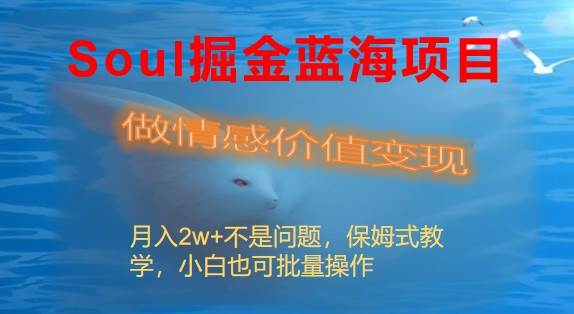 Soul掘金蓝海项目细分赛道，做情感价值变现，月入2w+不是问题-学知网