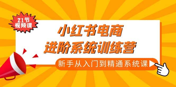 小红书电商进阶系统训练营：新手从入门到精通系统课（21节视频课）-学知网