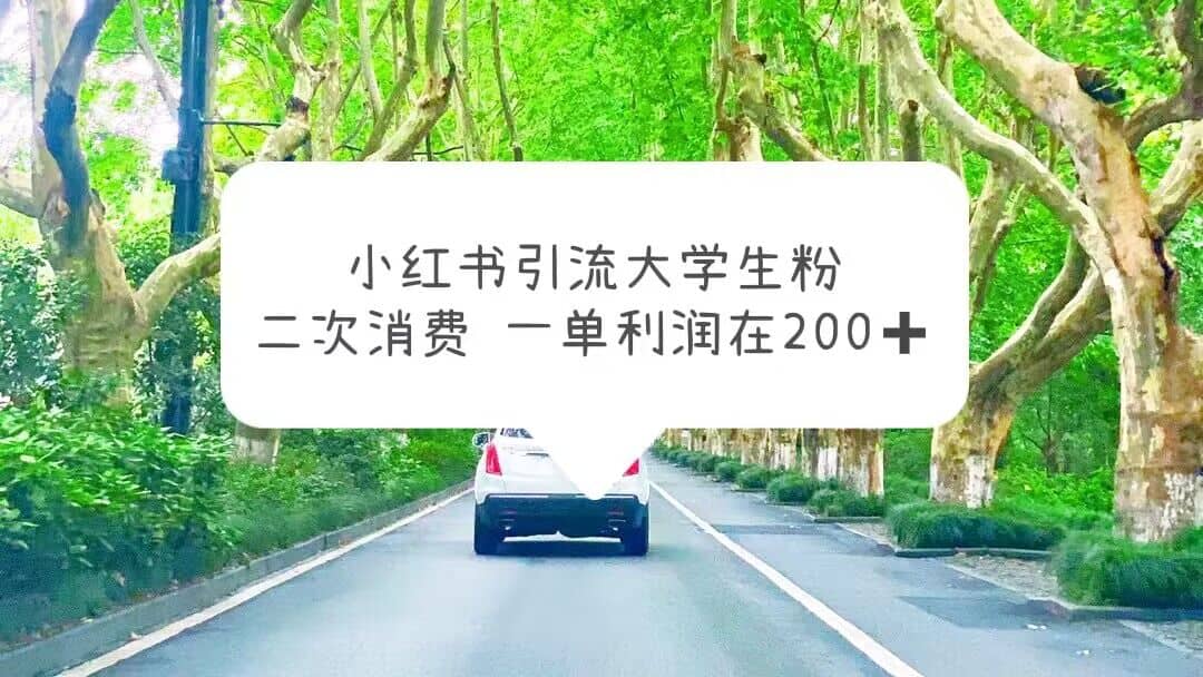 小红书引流大学生粉，变现项目，一单利润在200+（教程+资源）-学知网