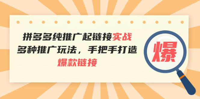 拼多多纯推广起链接实战：多种推广玩法，手把手打造爆款链接-学知网