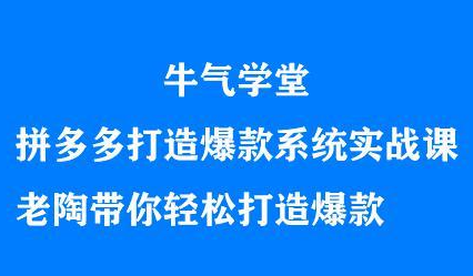 牛气学堂拼多多打造爆款系统实战课，老陶带你轻松打造爆款-学知网