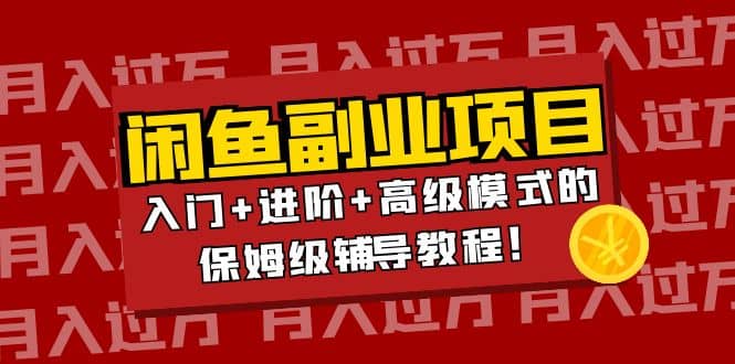 月入过万闲鱼副业项目：入门+进阶+高级模式的保姆级辅导教程-学知网