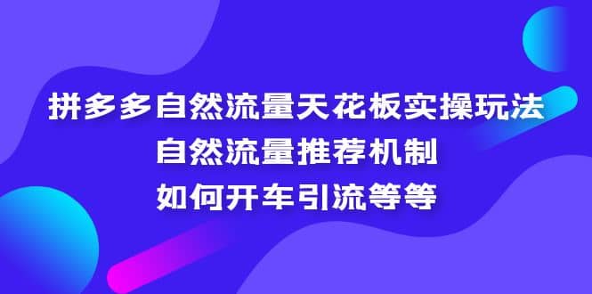 拼多多自然流量天花板实操玩法：自然流量推荐机制，如何开车引流等等-学知网