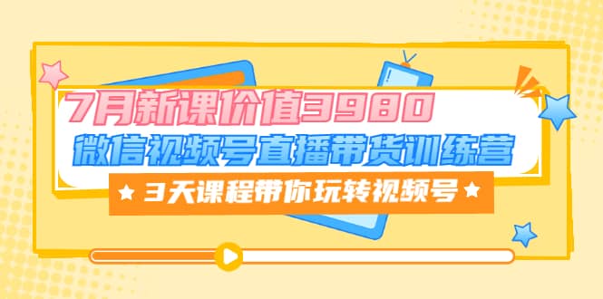 微信视频号直播带货训练营，3天课程带你玩转视频号：7月新课价值3980-学知网