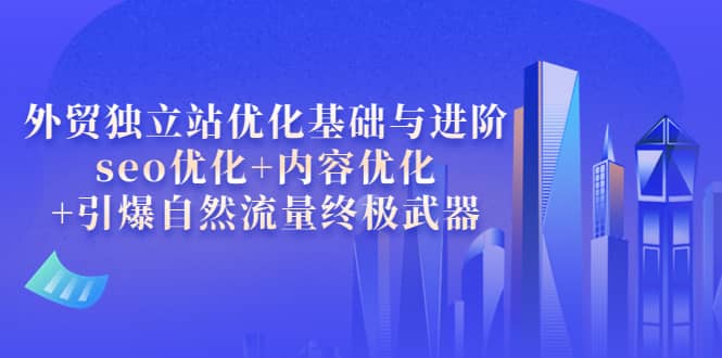 外贸独立站优化基础与进阶，seo优化+内容优化+引爆自然流量终极武器-学知网