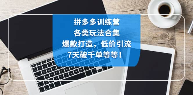 拼多多训练营：各玩法合集，爆款打造，低价引流，7天破千单等等-学知网