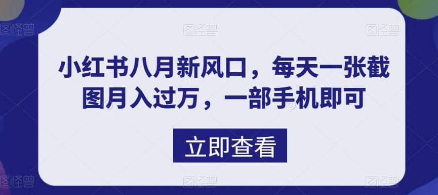 八月新风口，小红书虚拟项目一天收入1000+，实战揭秘-学知网