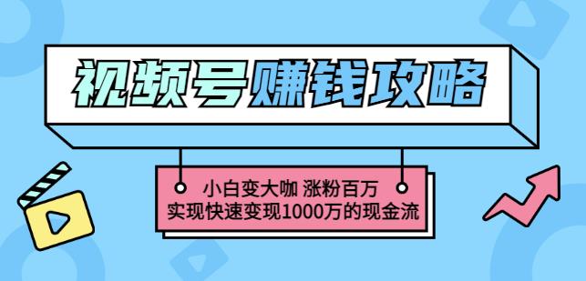 玩转微信视频号赚钱：小白变大咖涨粉百万实现快速变现1000万的现金流-学知网