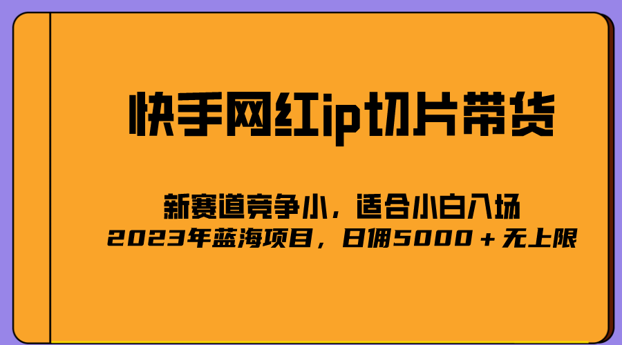 2023爆火的快手网红IP切片，号称日佣5000＋的蓝海项目，二驴的独家授权-学知网