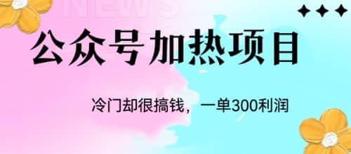 冷门公众号加热项目，一单利润300+-学知网