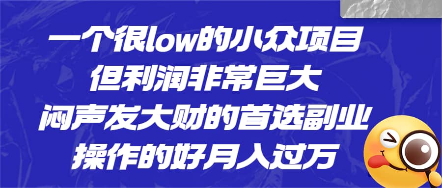 一个很low的小众项目，但利润非常巨大，闷声发大财的首选副业，月入过万-学知网