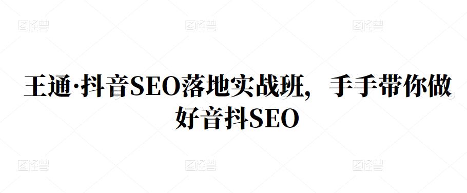 王通·抖音SEO落地实战班，手‬手带你做好音抖‬‬SEO-学知网