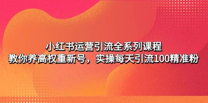 小红书运营引流全系列课程：教你养高权重新号-学知网