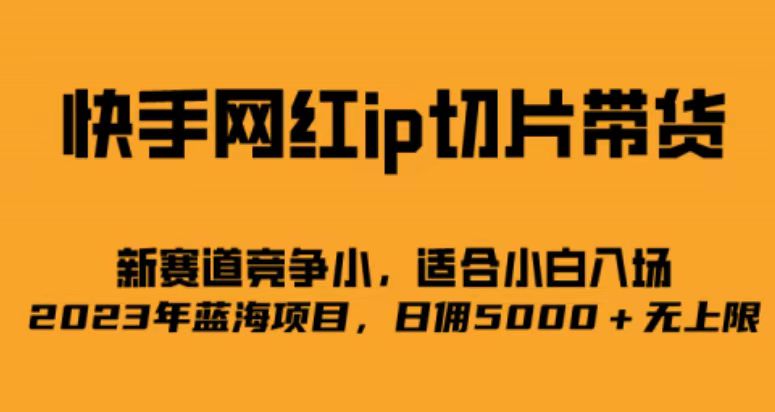 快手网红ip切片新赛道，竞争小事，适合小白 2023蓝海项目-学知网