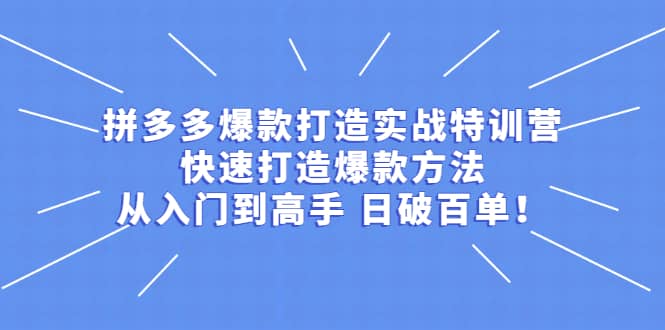 拼多多爆款打造实战特训营：快速打造爆款方法，从入门到高手 日破百单-学知网