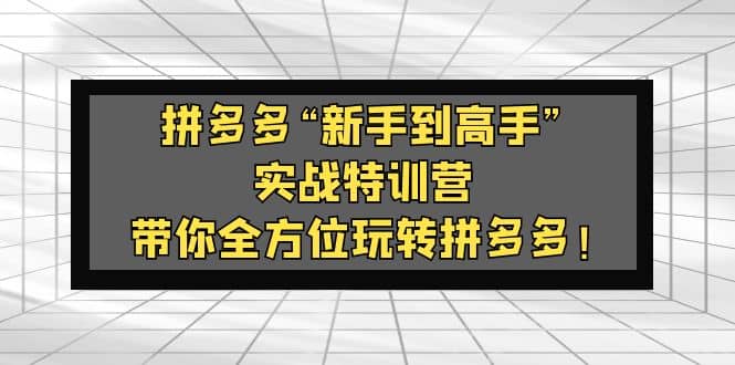 拼多多“新手到高手”实战特训营：带你全方位玩转拼多多-学知网