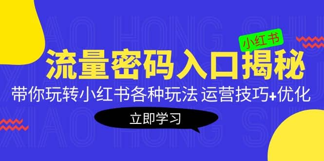 小红书流量密码入口揭秘：带你玩转小红书各种玩法 运营技巧+优化-学知网