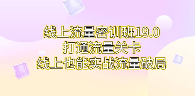 线上流量密训班19.0，打通流量关卡，线上也能实战流量破局-学知网